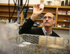 攻击网站的方法