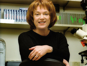 ddos流量攻击购买